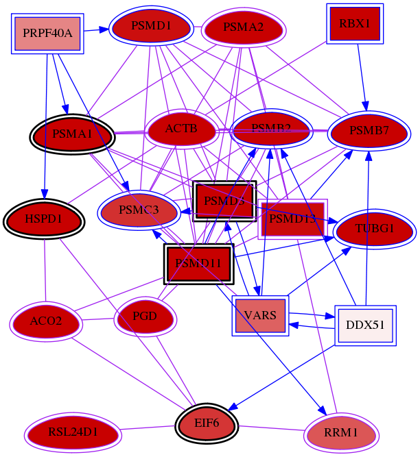 wolf-screen-ratio-mammosphere-adherent-meta-int-snw-6240 subnetwork