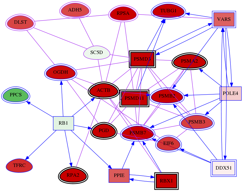 wolf-screen-ratio-mammosphere-adherent-meta-int-snw-6309 subnetwork