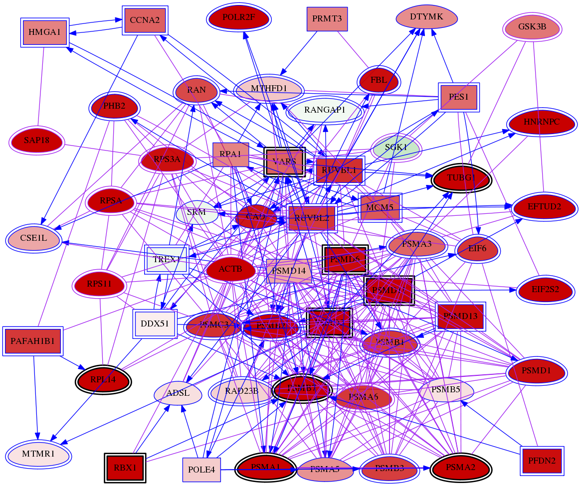 wolf-screen-ratio-mammosphere-adherent-meta-int-snw-6446 subnetwork