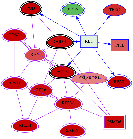 wolf-screen-ratio-mammosphere-adherent-meta-int-snw-6598 subnetwork