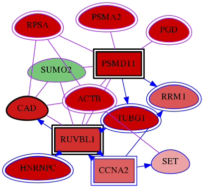 wolf-screen-ratio-mammosphere-adherent-meta-int-snw-6613 subnetwork