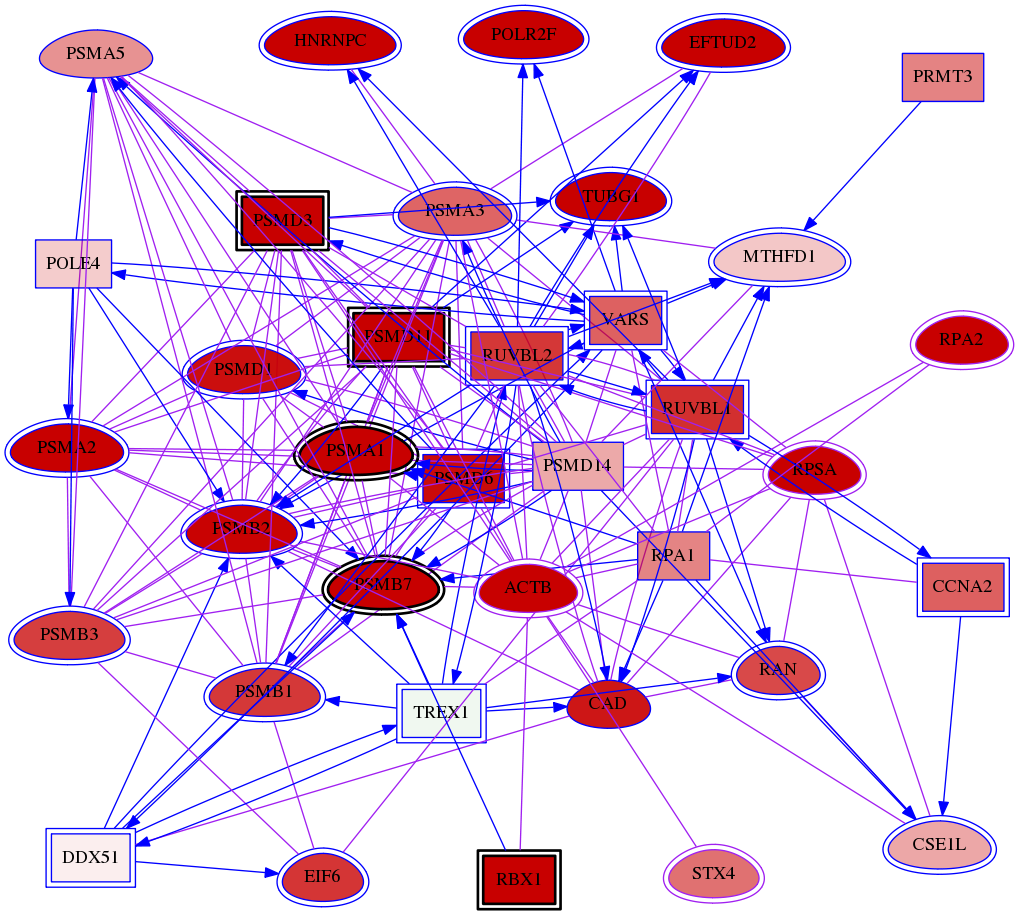 wolf-screen-ratio-mammosphere-adherent-meta-int-snw-6810 subnetwork