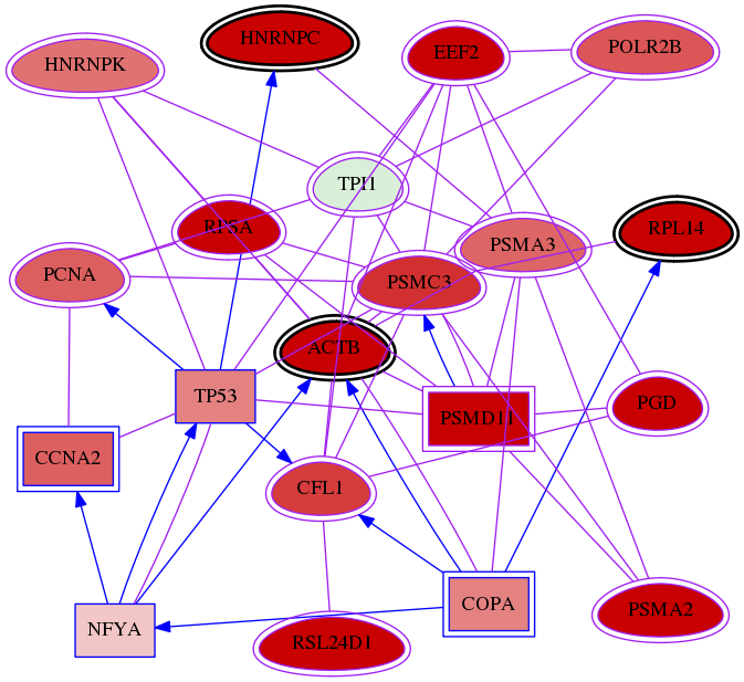 wolf-screen-ratio-mammosphere-adherent-meta-int-snw-7167 subnetwork