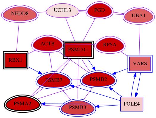 wolf-screen-ratio-mammosphere-adherent-meta-int-snw-7347 subnetwork