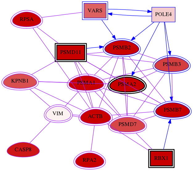 wolf-screen-ratio-mammosphere-adherent-meta-int-snw-7431 subnetwork