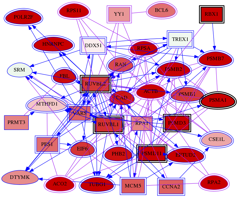 wolf-screen-ratio-mammosphere-adherent-meta-int-snw-7528 subnetwork