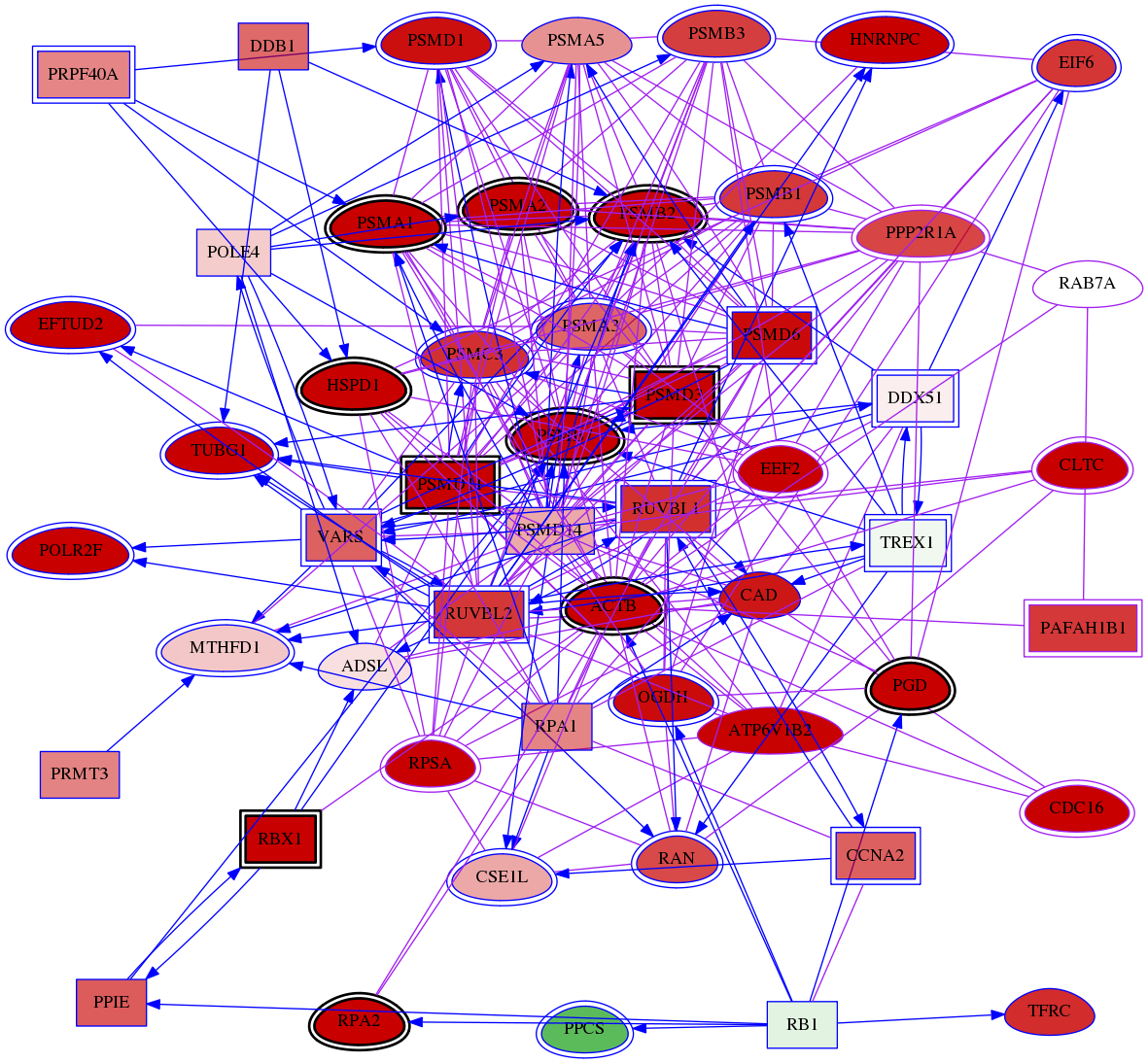 wolf-screen-ratio-mammosphere-adherent-meta-int-snw-7879 subnetwork