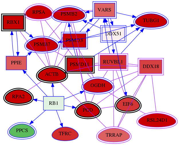 wolf-screen-ratio-mammosphere-adherent-meta-int-snw-8295 subnetwork