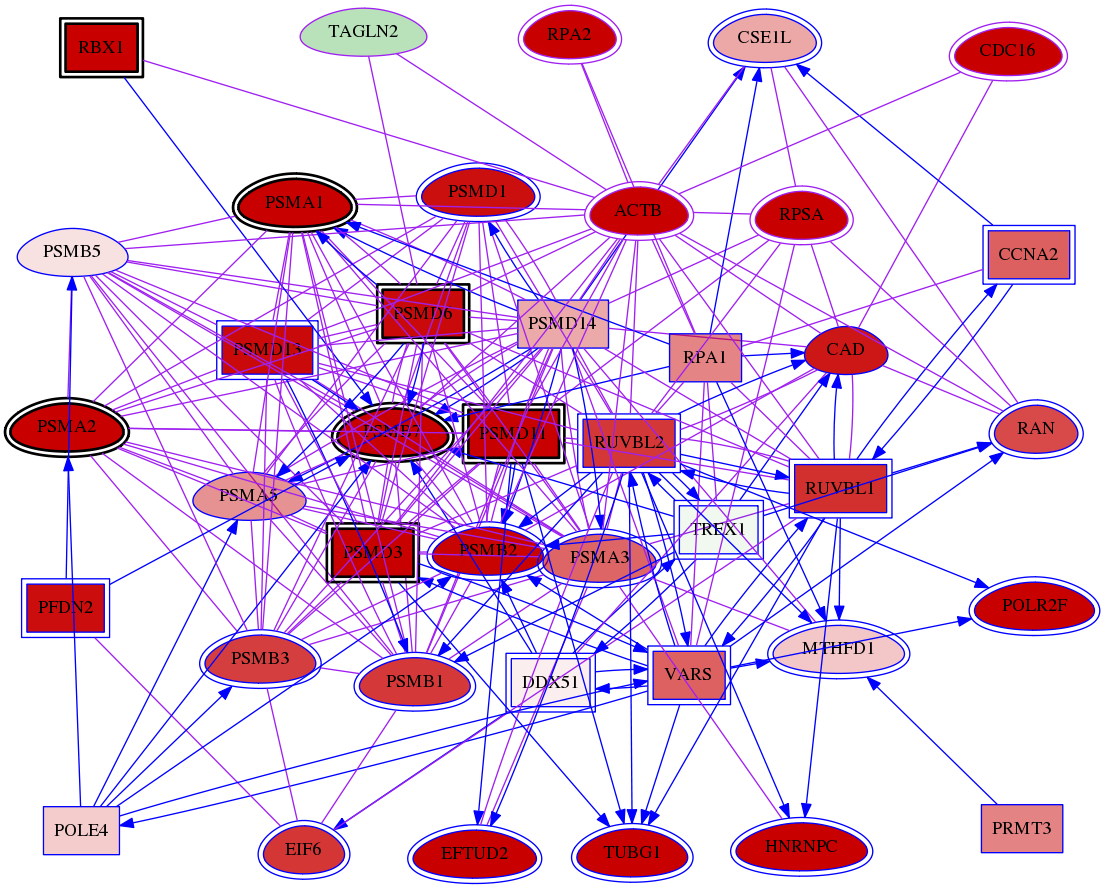 wolf-screen-ratio-mammosphere-adherent-meta-int-snw-8407 subnetwork