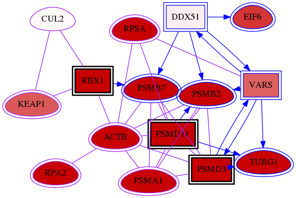 wolf-screen-ratio-mammosphere-adherent-meta-int-snw-8453 subnetwork