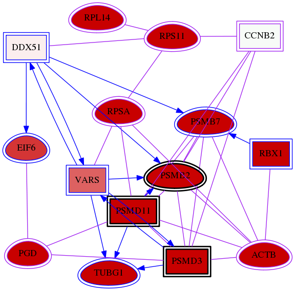 wolf-screen-ratio-mammosphere-adherent-meta-int-snw-9133 subnetwork