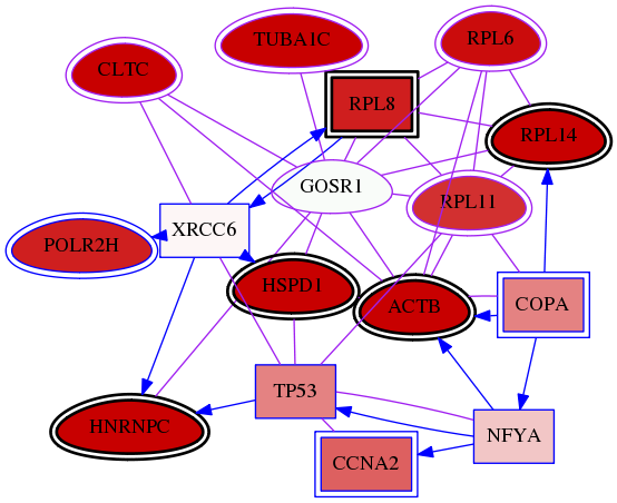 wolf-screen-ratio-mammosphere-adherent-meta-int-snw-9527 subnetwork