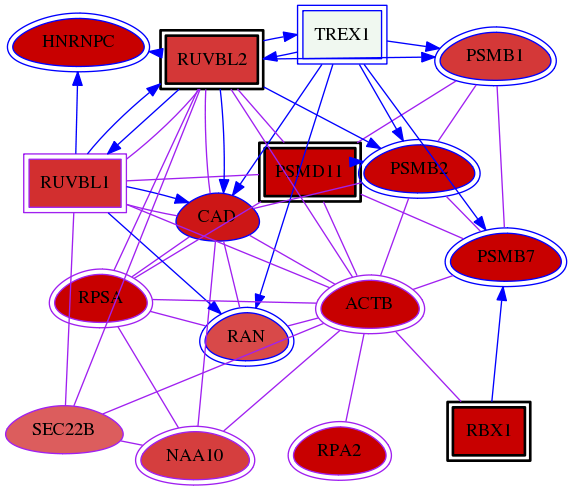 wolf-screen-ratio-mammosphere-adherent-meta-int-snw-9554 subnetwork