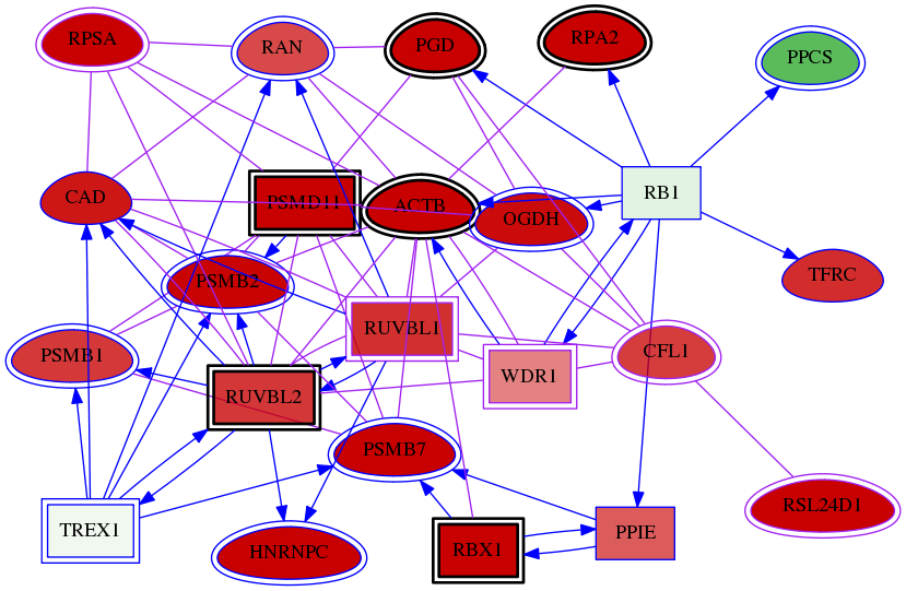 wolf-screen-ratio-mammosphere-adherent-meta-int-snw-9948 subnetwork