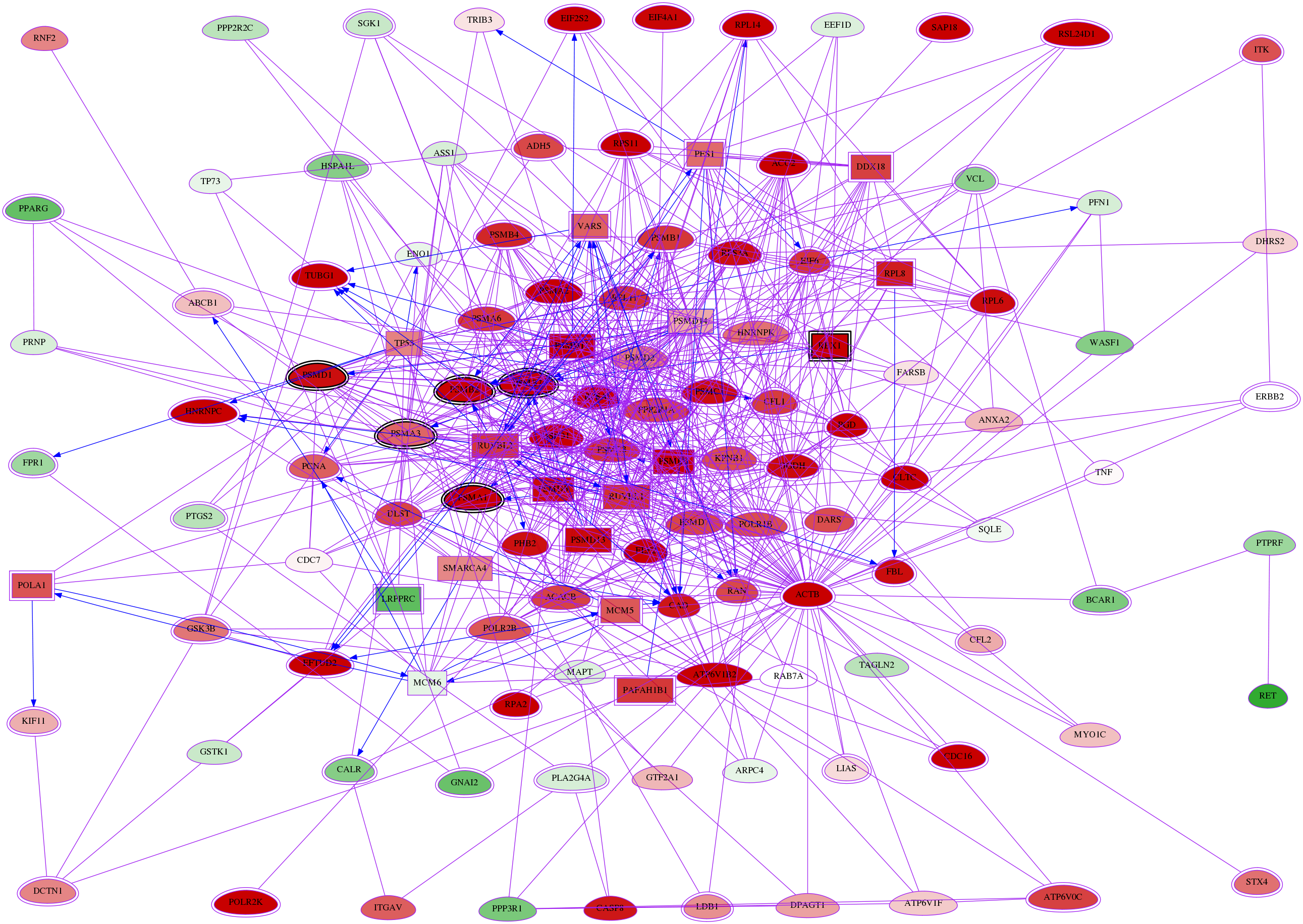 wolf-screen-ratio-mammosphere-adherent-meta-reg-snw-10213 subnetwork