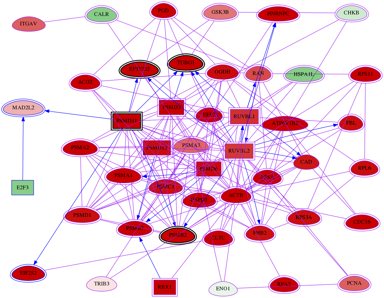 wolf-screen-ratio-mammosphere-adherent-meta-reg-snw-10459 subnetwork