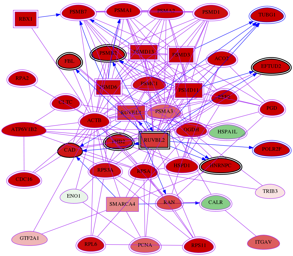 wolf-screen-ratio-mammosphere-adherent-meta-reg-snw-10856 subnetwork