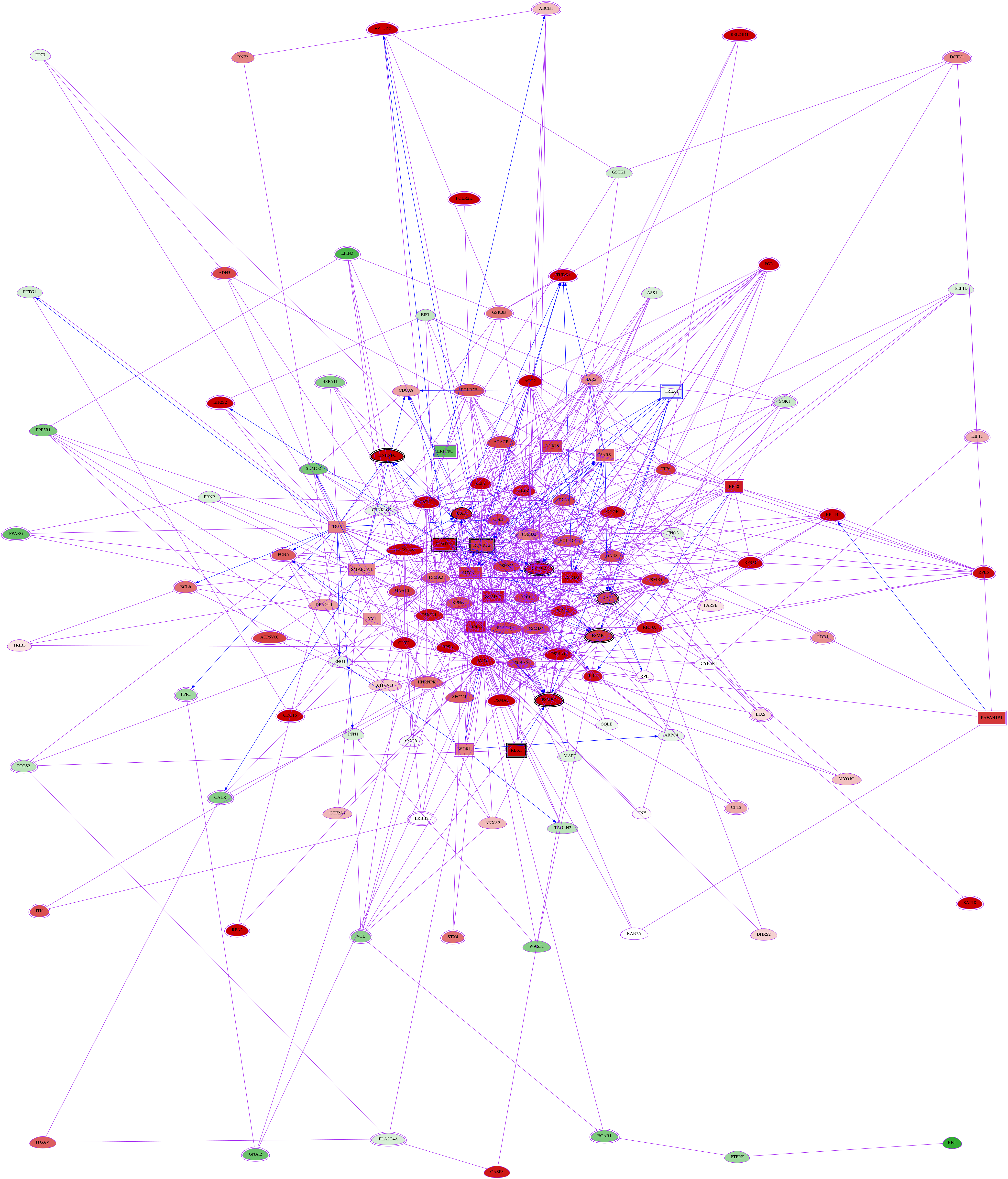 wolf-screen-ratio-mammosphere-adherent-meta-reg-snw-11277 subnetwork