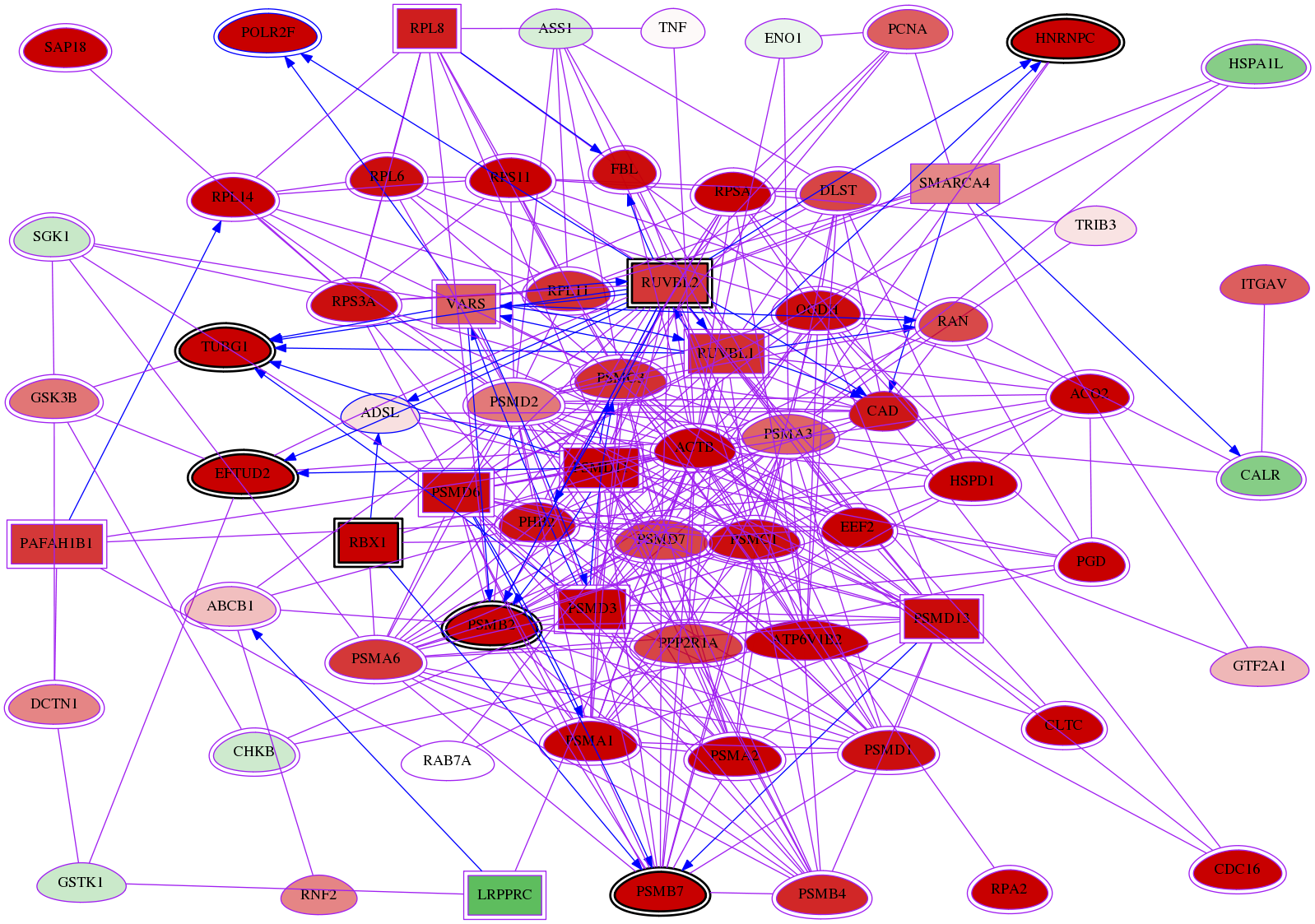 wolf-screen-ratio-mammosphere-adherent-meta-reg-snw-158 subnetwork