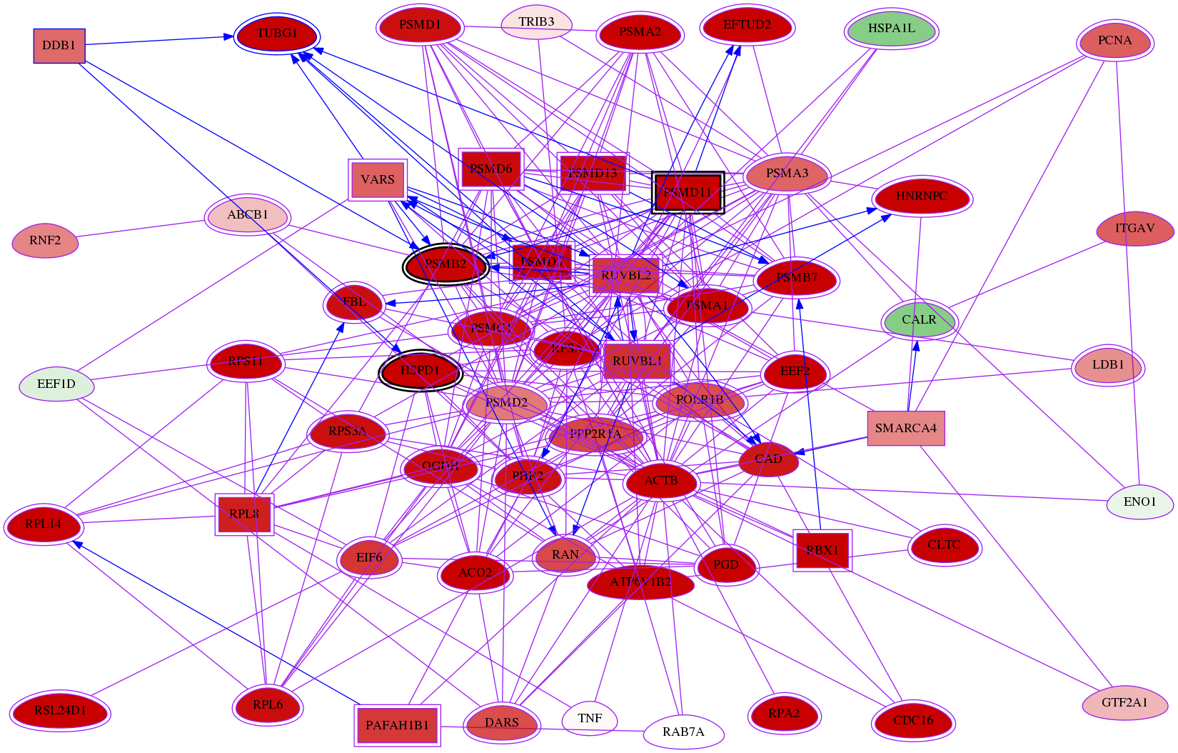 wolf-screen-ratio-mammosphere-adherent-meta-reg-snw-1642 subnetwork