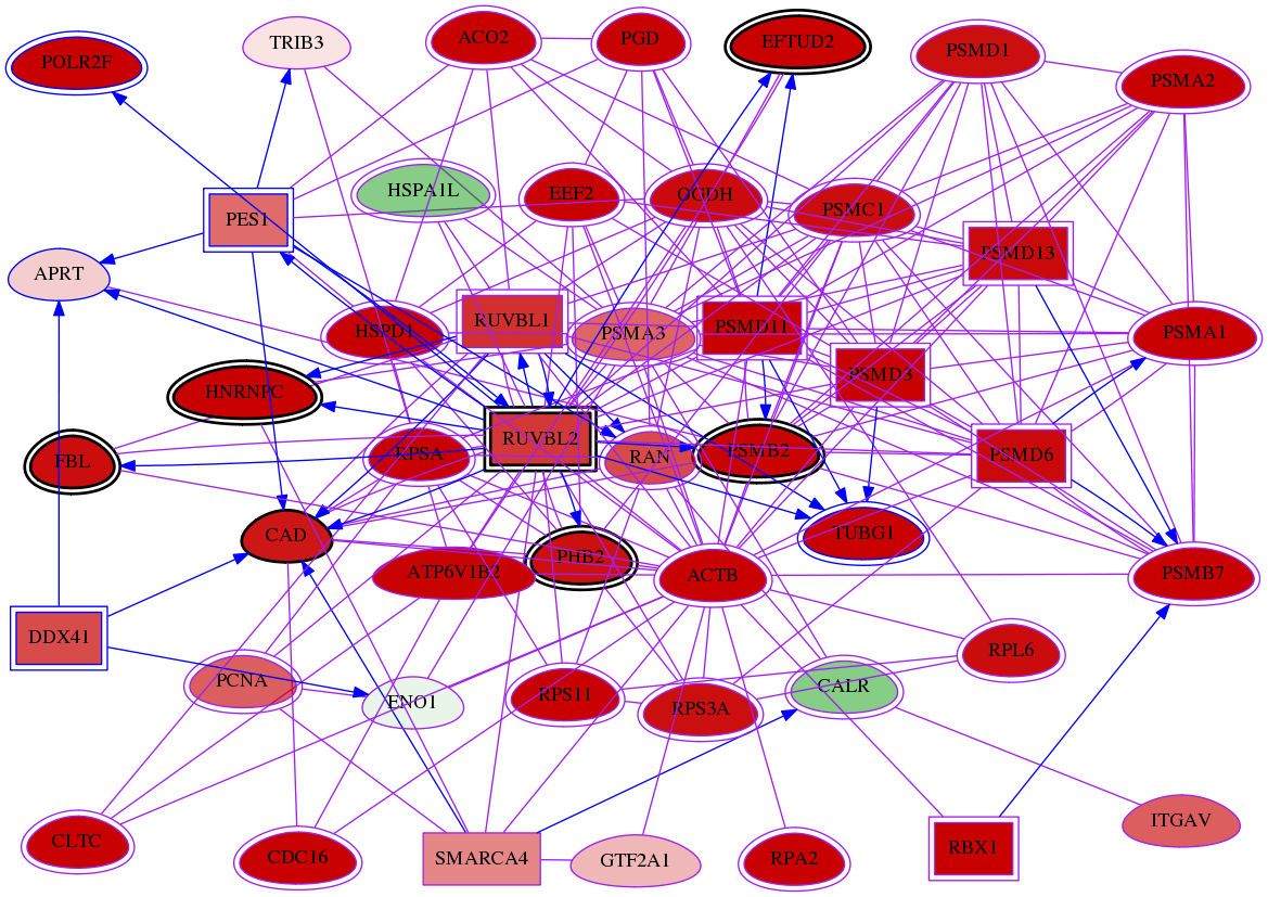 wolf-screen-ratio-mammosphere-adherent-meta-reg-snw-353 subnetwork