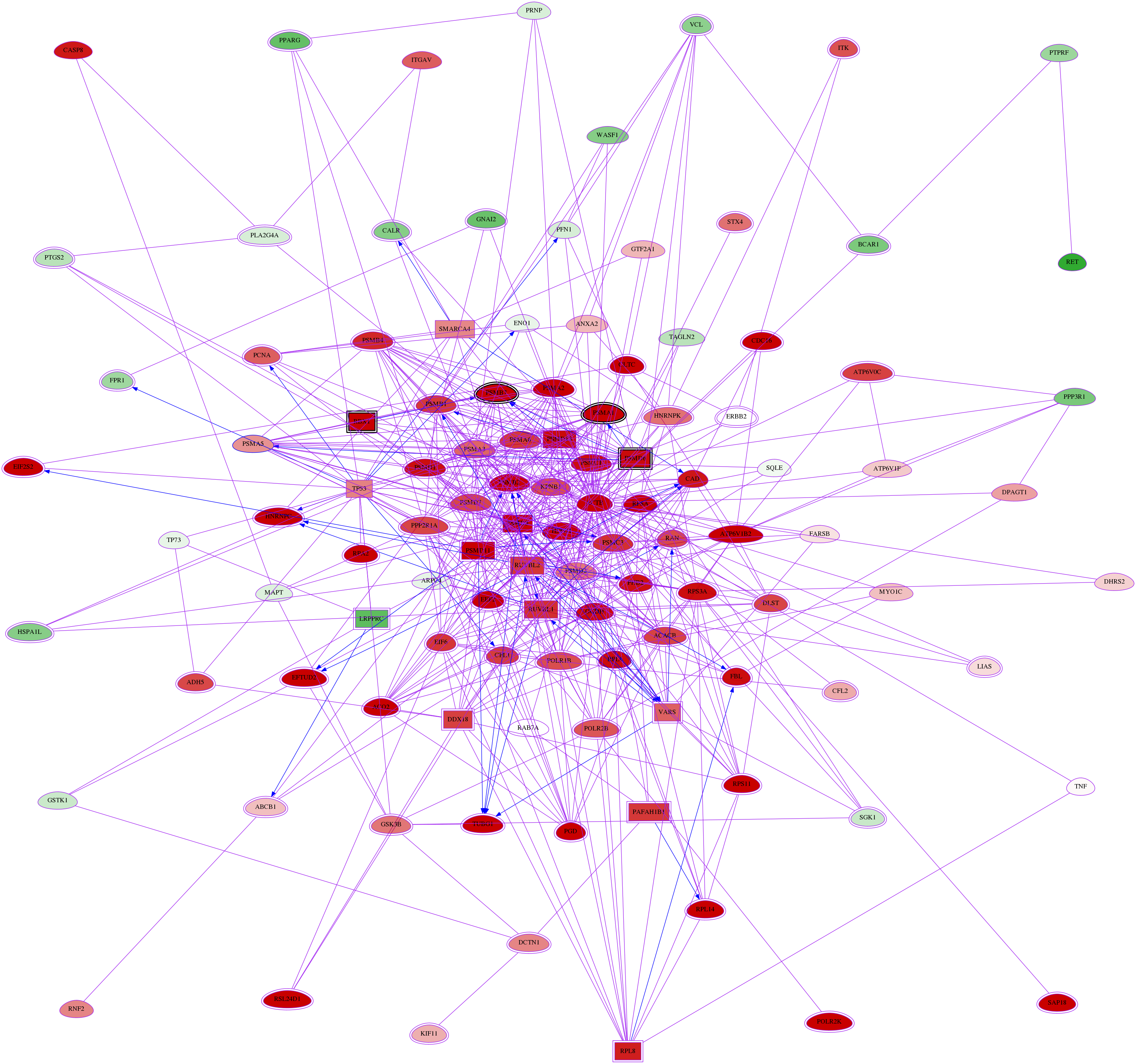 wolf-screen-ratio-mammosphere-adherent-meta-reg-snw-5686 subnetwork