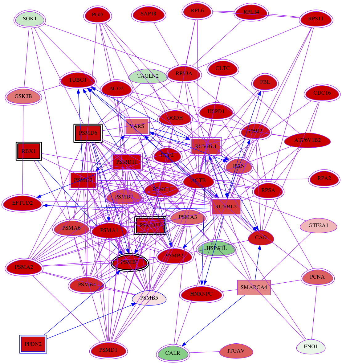 wolf-screen-ratio-mammosphere-adherent-meta-reg-snw-5693 subnetwork