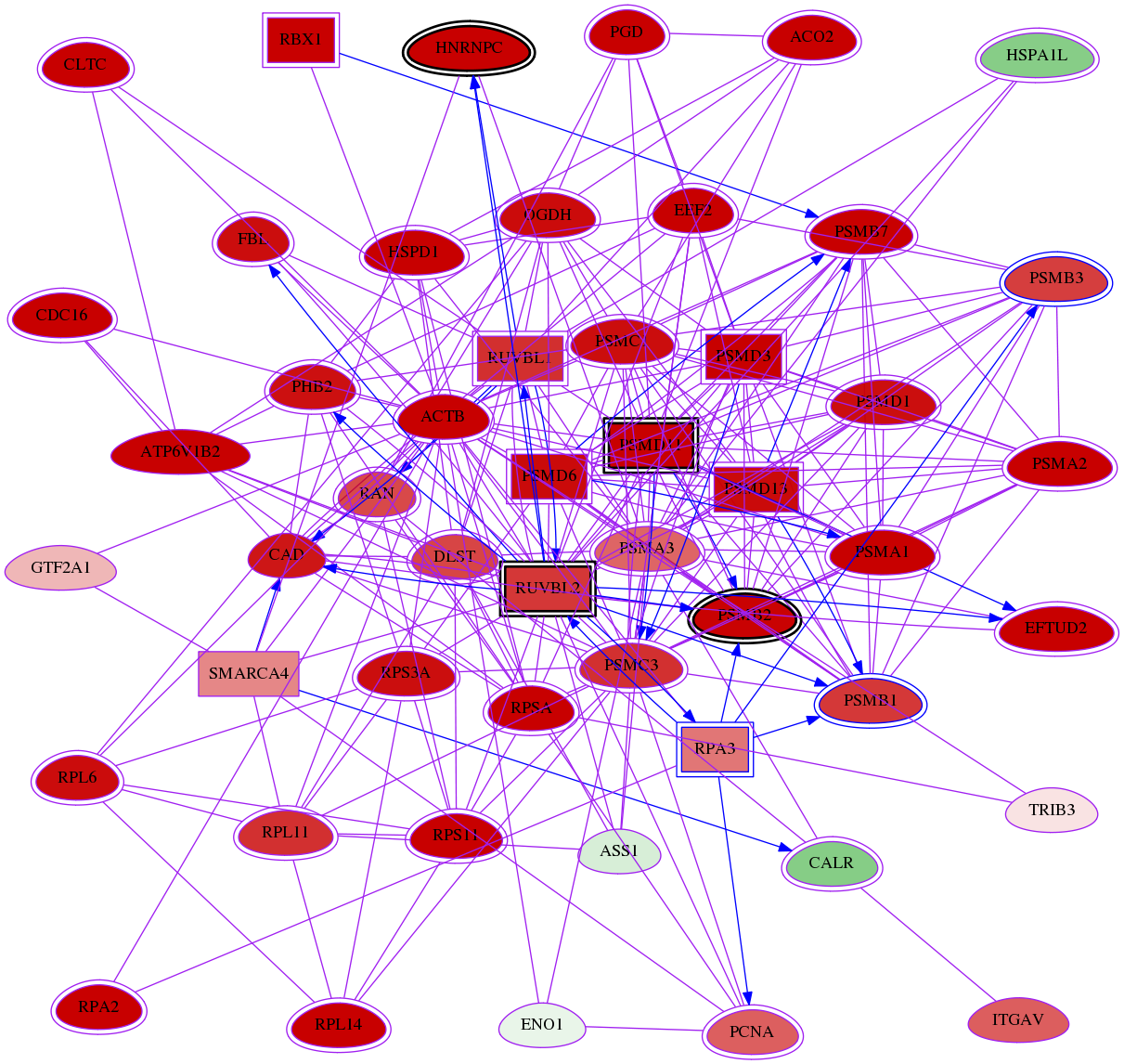 wolf-screen-ratio-mammosphere-adherent-meta-reg-snw-6119 subnetwork