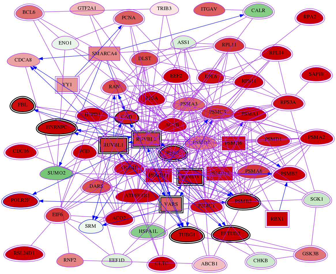 wolf-screen-ratio-mammosphere-adherent-meta-reg-snw-6723 subnetwork