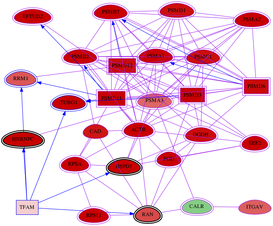 wolf-screen-ratio-mammosphere-adherent-meta-reg-snw-7019 subnetwork