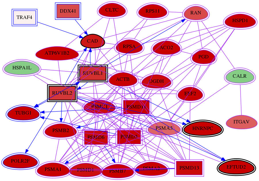 wolf-screen-ratio-mammosphere-adherent-meta-reg-snw-9618 subnetwork