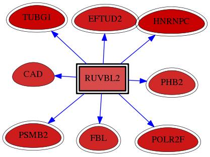 wolf-screen-ratio-mammosphere-adherent-reg-snw-10856 subnetwork