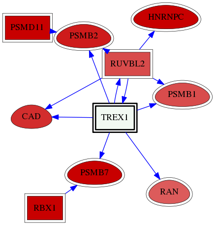 wolf-screen-ratio-mammosphere-adherent-reg-snw-11277 subnetwork