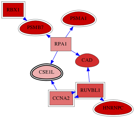 wolf-screen-ratio-mammosphere-adherent-reg-snw-1434 subnetwork