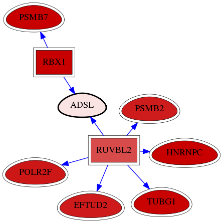 wolf-screen-ratio-mammosphere-adherent-reg-snw-158 subnetwork