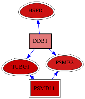 wolf-screen-ratio-mammosphere-adherent-reg-snw-1642 subnetwork