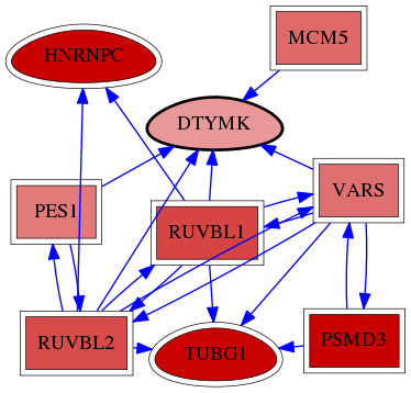 wolf-screen-ratio-mammosphere-adherent-reg-snw-1841 subnetwork