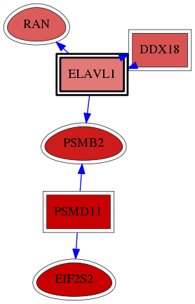 wolf-screen-ratio-mammosphere-adherent-reg-snw-1994 subnetwork