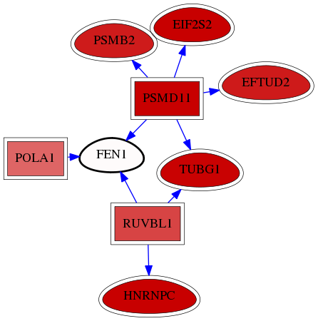 wolf-screen-ratio-mammosphere-adherent-reg-snw-2237 subnetwork