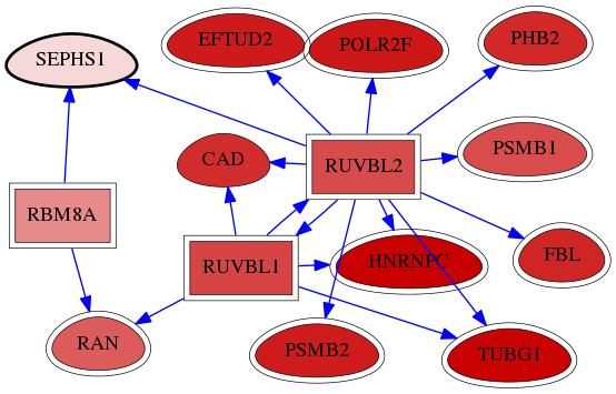 wolf-screen-ratio-mammosphere-adherent-reg-snw-22929 subnetwork