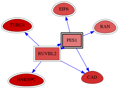 wolf-screen-ratio-mammosphere-adherent-reg-snw-23481 subnetwork