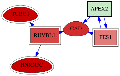 wolf-screen-ratio-mammosphere-adherent-reg-snw-27301 subnetwork