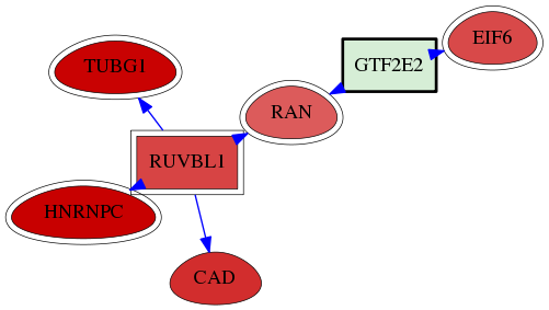 wolf-screen-ratio-mammosphere-adherent-reg-snw-2961 subnetwork