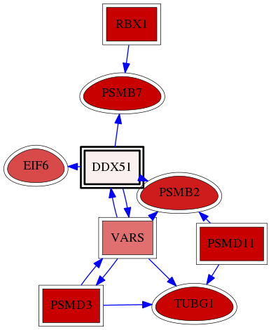 wolf-screen-ratio-mammosphere-adherent-reg-snw-317781 subnetwork