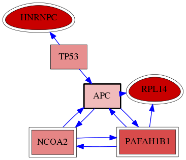 wolf-screen-ratio-mammosphere-adherent-reg-snw-324 subnetwork