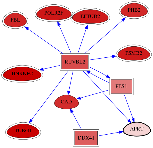 wolf-screen-ratio-mammosphere-adherent-reg-snw-353 subnetwork