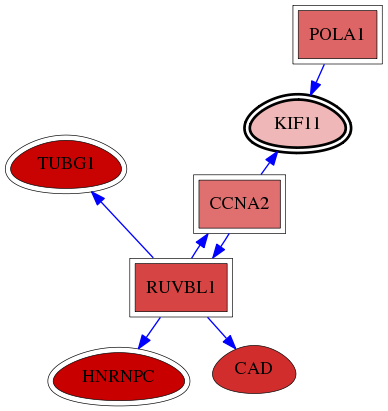 wolf-screen-ratio-mammosphere-adherent-reg-snw-3832 subnetwork