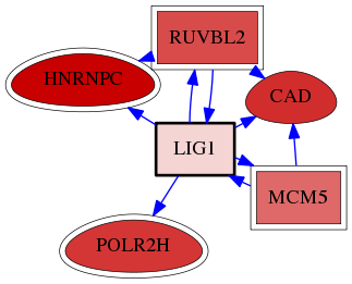 wolf-screen-ratio-mammosphere-adherent-reg-snw-3978 subnetwork