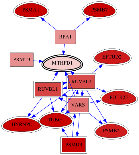 wolf-screen-ratio-mammosphere-adherent-reg-snw-4522 subnetwork