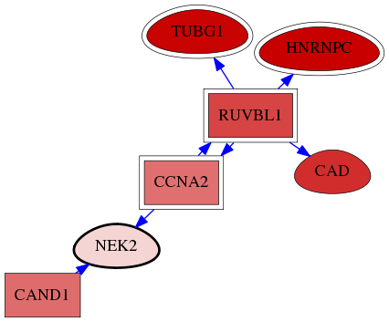 wolf-screen-ratio-mammosphere-adherent-reg-snw-4751 subnetwork